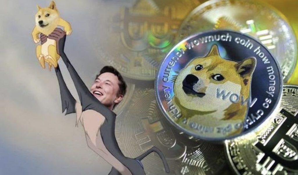 Dogecoin meme with Elon Musk